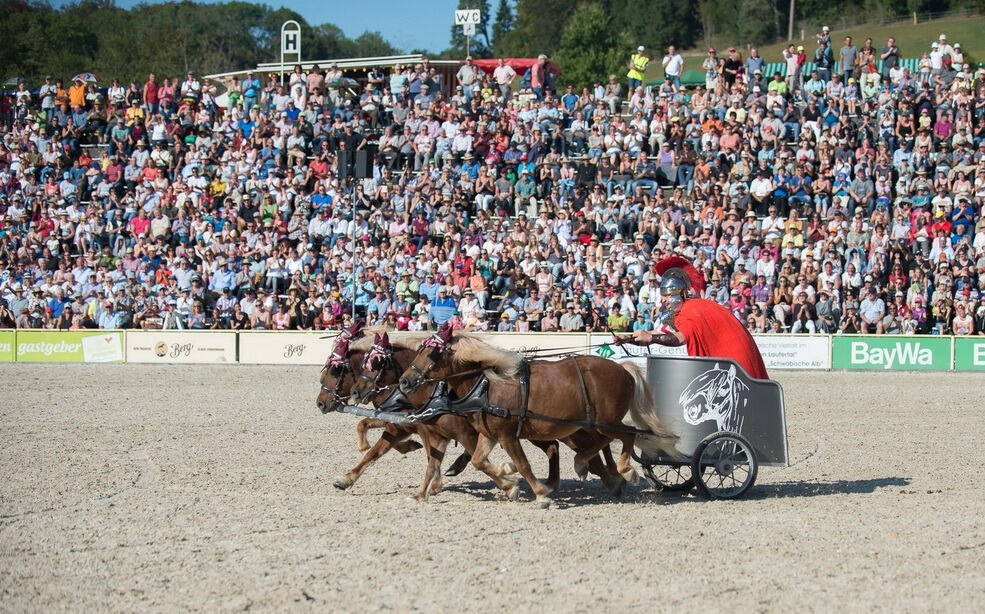 Marbacher Hengstparade 2016