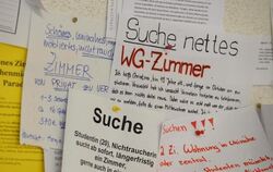 Wohnungsgesuche hängen an einem Schwarzen Brett in der Universität Konstanz. Foto: Felix Kästle