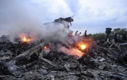 Brennende Trümmer von Flug MH17 bei Donezk im Osten der Ukraine. Foto: Alyona Zykina/Archiv
