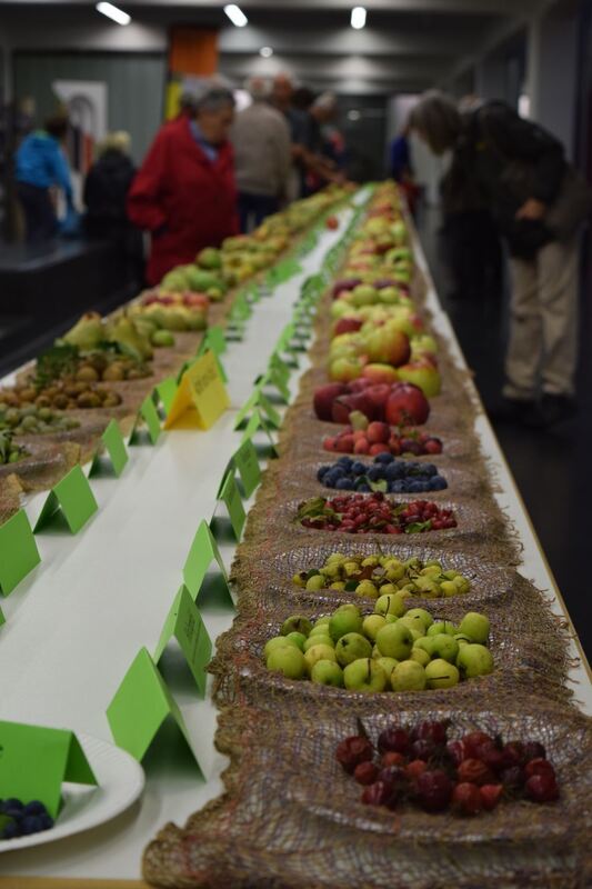 Apfelfest Mössingen 2016