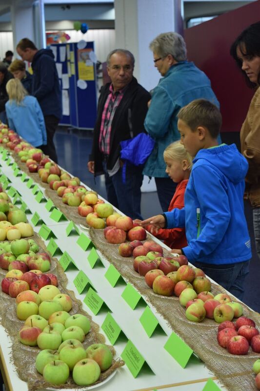 Apfelfest Mössingen 2016