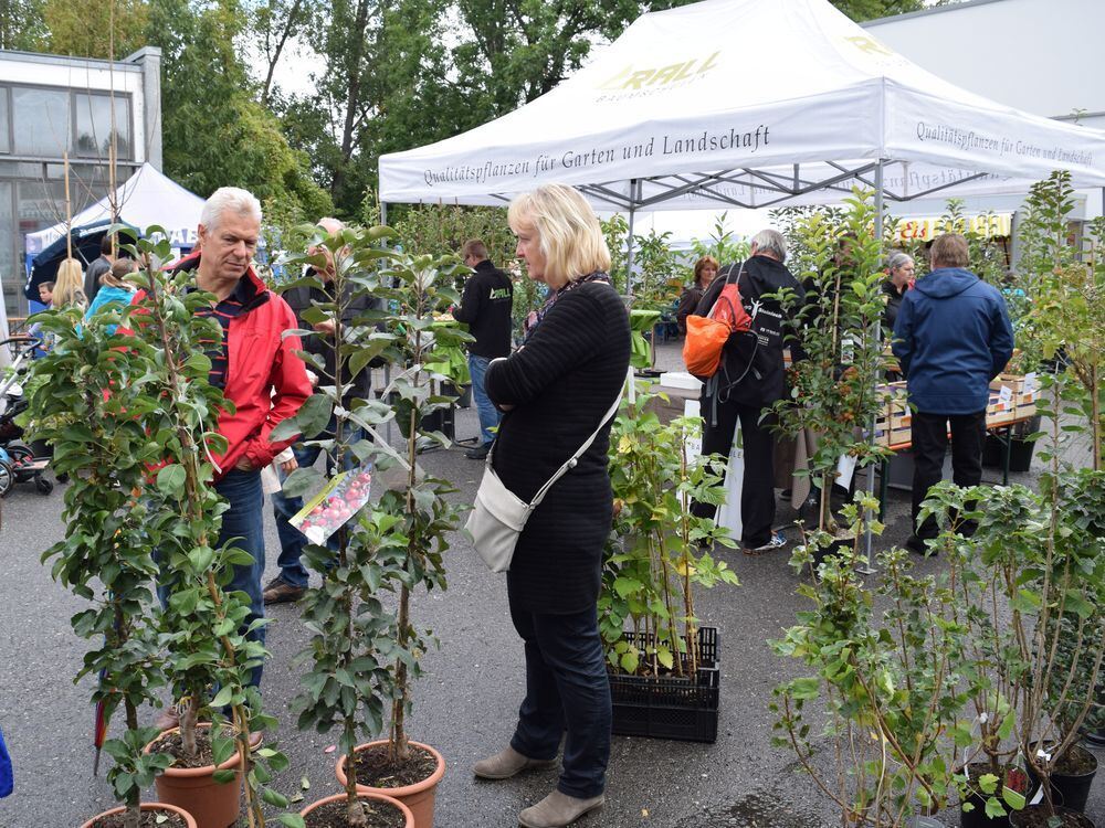 Apfelfest Mössingen 2016