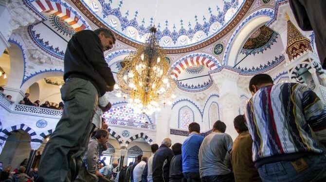 Gläubige beten in einer Moschee
