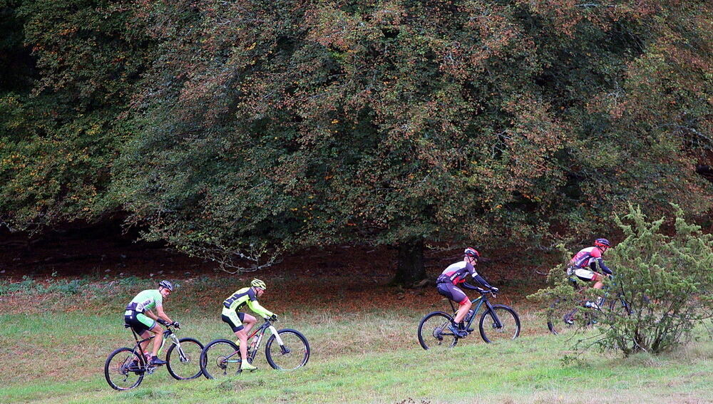 Alb-Gold-Trophy Trochtelfingen 2016