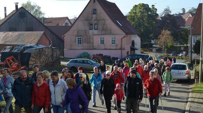 Mehr als 100 Wanderlustige machten sich gestern Vormittag auf die erste Tour rund um Holzelfingen auf dem neuen  Jubiläumsweg de
