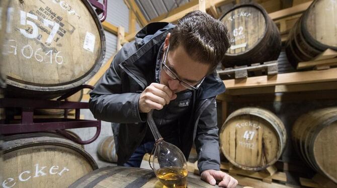Immanuel Gruel zieht in Owen im Whisky-Fasskeller der Spiritousen-Brennerei Gruel mit einem Whisky-Heber Whisky aus einem Fass.