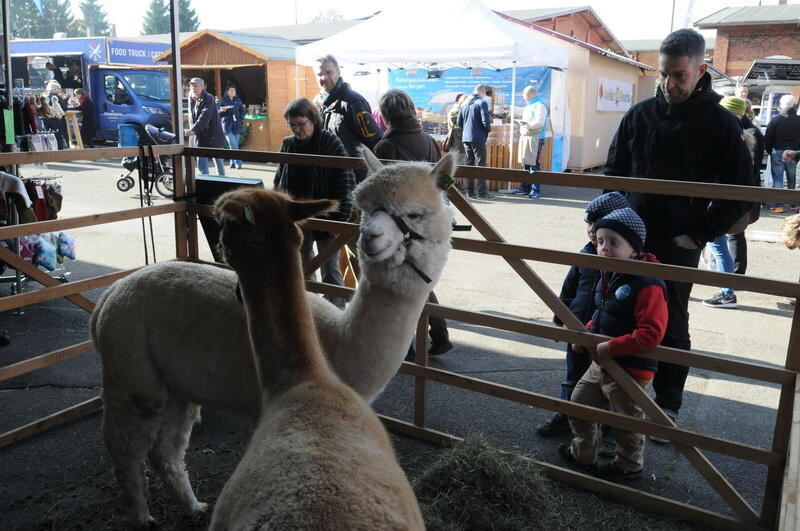 Schön und Gut Münsingen 2016