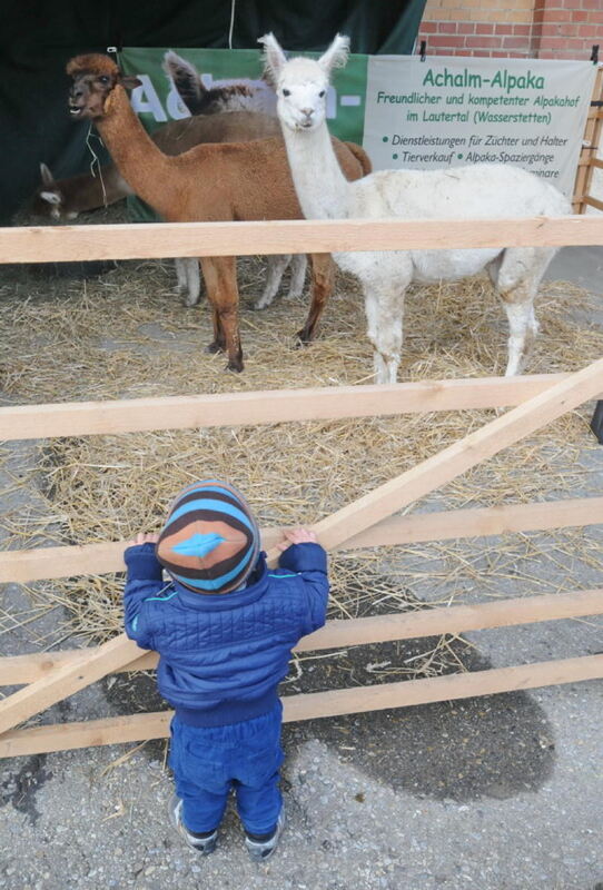 Schön und Gut Münsingen 2016