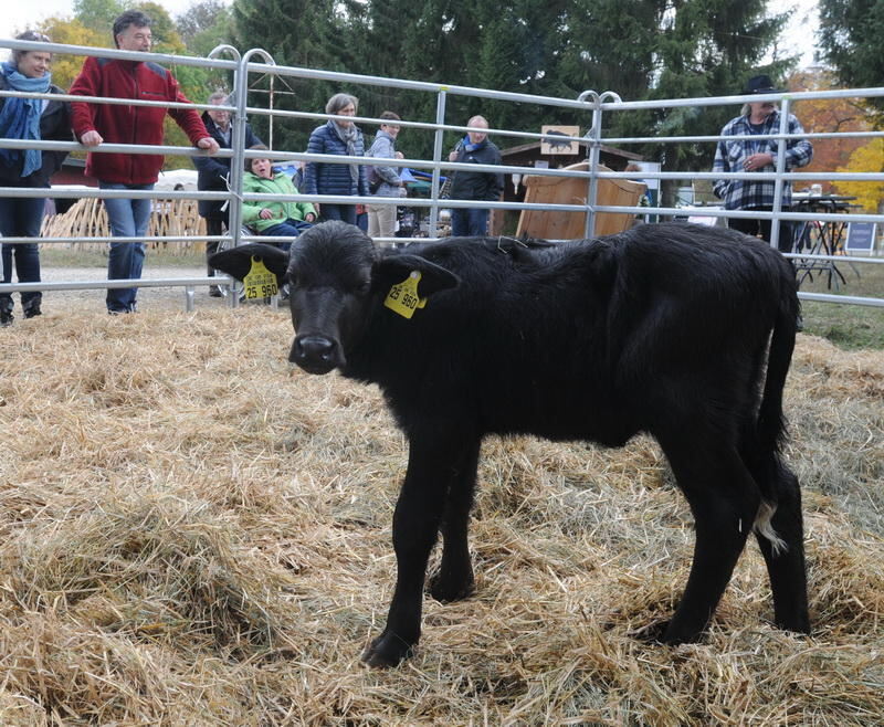 Schön und Gut Münsingen 2016