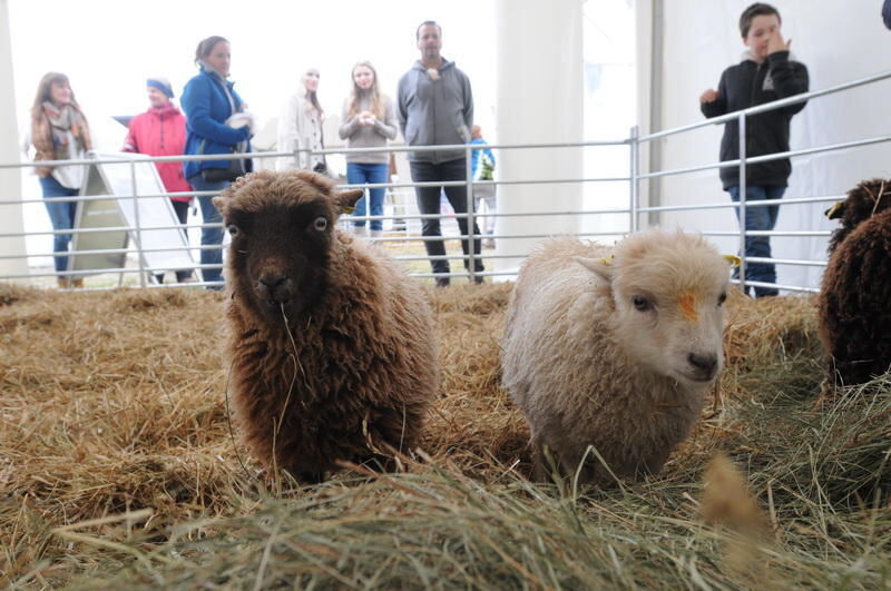 Schön und Gut Münsingen 2016