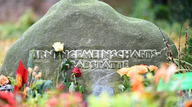 Ein Grabstein mit der Aufschrift »Urnengemeinschaftsgrabstätte« steht in Mannheim auf dem Hauptfriedhof am anonymen Grabfeld.