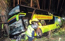 Laut Busreiseverband RDA verhinderte der Busfahrer mit seiner schnellen Reaktion, Schlimmeres: Er habe das Fahrzeug so in die
