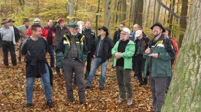 Waldumgang in Dettingen: Die Beteiligten zeigten sich beeindruckt vom Bestand an Edellaubhölzern. FOTO: BRODBECK