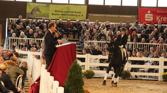 Das Pult von Auktionator Hendrik Schulze Rückamp war dem erst dreijährigen Durello nicht ganz geheuer. Die Marbacher Reithalle w