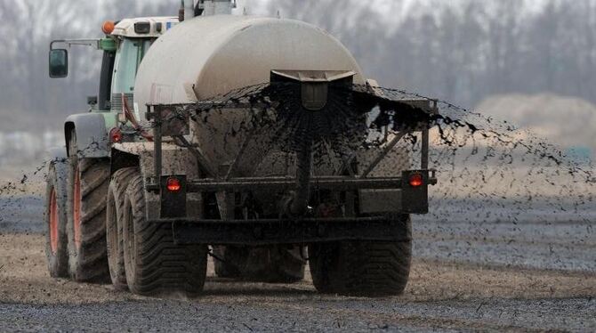 Traktor mit Güllewagen: Die EU wirft Deutschland vor strengere Maßnahmen gegen die Gewässerverunreinigung durch Nitrat zu ver