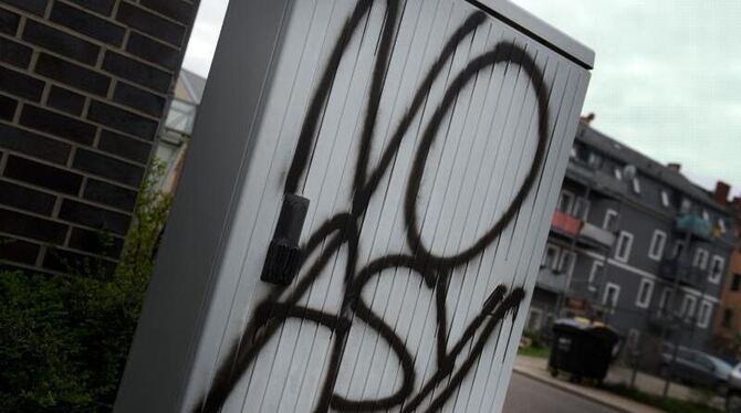 »No Asyl« steht auf einem Verteilerkasten in Freital. Foto: Arno Burgi