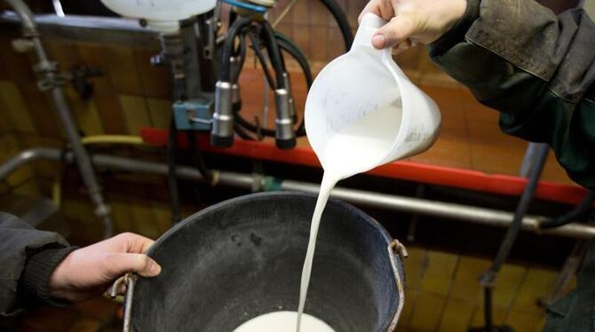 Rohmilch wird auf einem Hof bei Osnabrück umgeschüttet. Die Branche sieht Anzeichen für eine Trendwende bei den Milchpreisen.