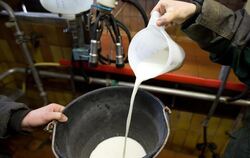 Rohmilch wird auf einem Hof bei Osnabrück umgeschüttet. Die Branche sieht Anzeichen für eine Trendwende bei den Milchpreisen.