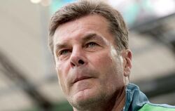 Dieter Hecking wird wohl neuer Trainer bei Borussia Mönchengladbach. Foto: Peter Steffen