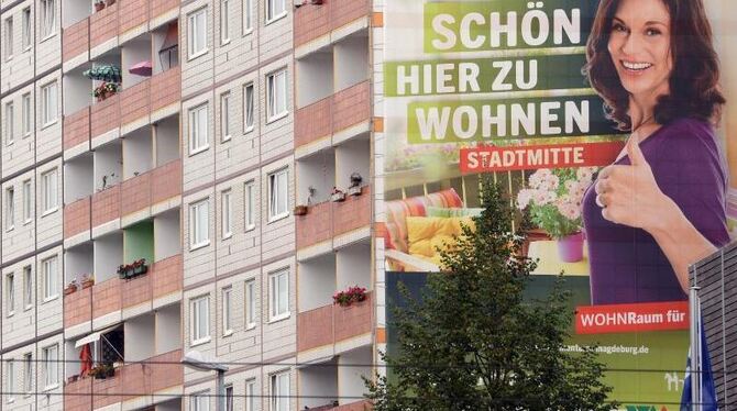 Werbeplakat an der Fassade eines Wohnhauses in Magdeburg: Vor allem in Großstädten, Ballungsgebieten und Universitätsstädten