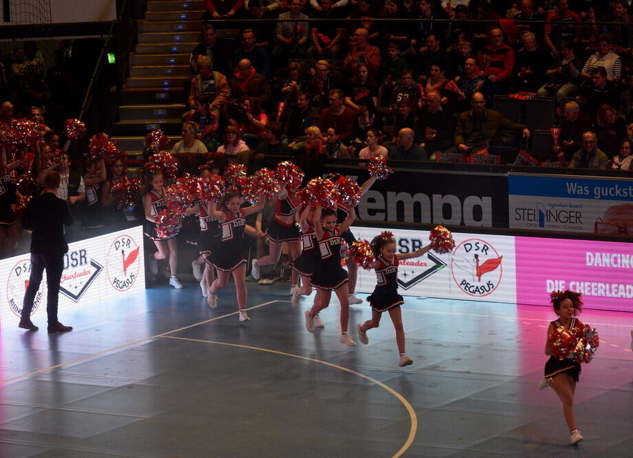 TuS Metzingen - TV Nellingen 31:23