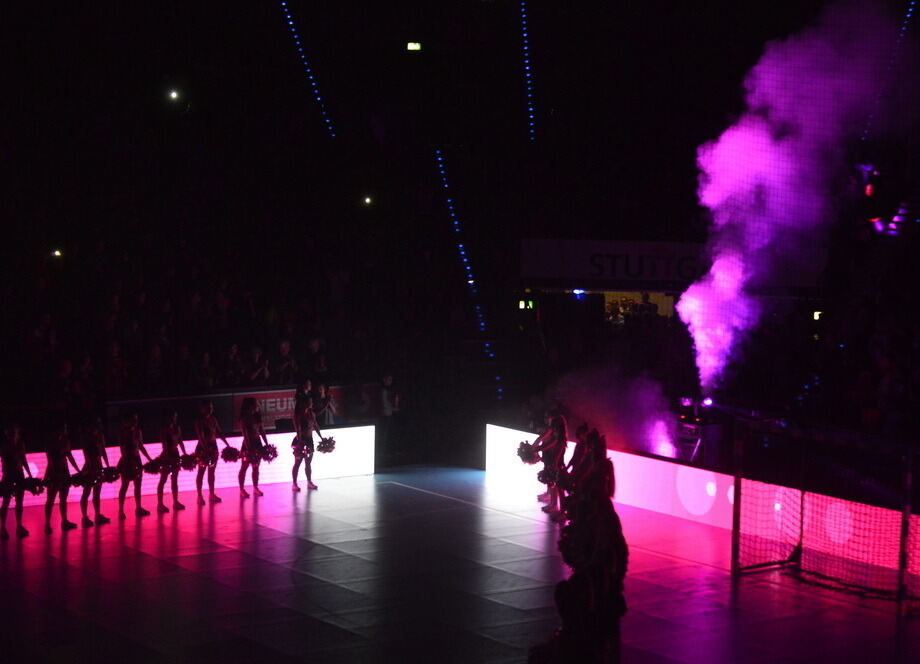 TuS Metzingen - TV Nellingen 31:23