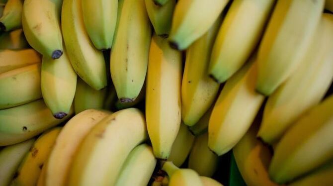 Bananen liegen in einem Supermarkt.
