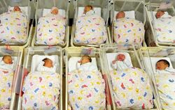 Neugeborene in ihren Bettchen auf einer Geburtsstation.