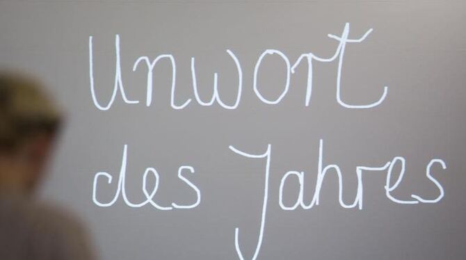 Die »Unwort«-Jury besteht im Kern aus vier Sprachwissenschaftlern und einem Journalisten. Foto: Frank Rumpenhorst