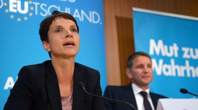 Unter anderem Parteichefin Frauke Petry soll sich für Höckes Rauswurf ausgesprochen haben. Foto: Rainer Jensen/Archiv