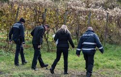 Polizisten suchen im November 2016 bei Endingen in den Weinbergen nach einer verschwunden 27-jährigen Joggerin. Foto: Patrick Se