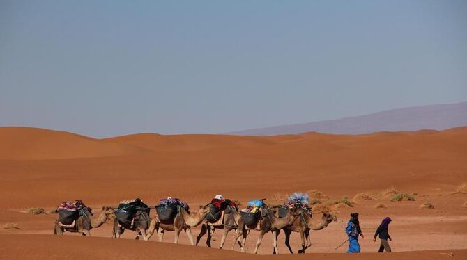 n der marokkanischen Sahara ist Helga Pech mit einer Reisegruppe auf Kamelen unterwegs gewesen und hat die Lastenträger in den F
