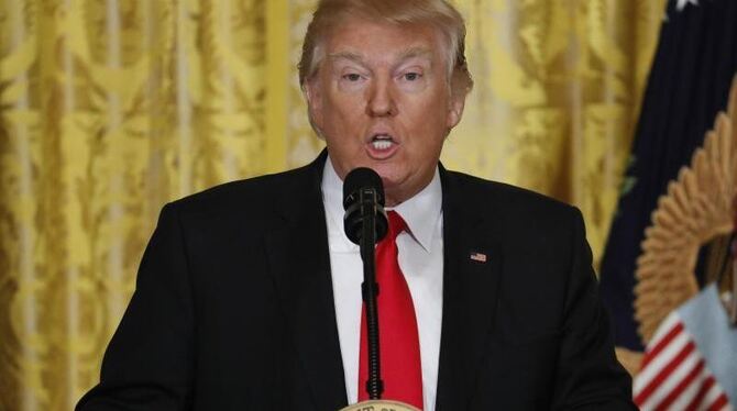 US-Präsident Donald Trump während seiner Rede im East Room des Weißen Hauses in Washington. Foto:Evan Vucci
