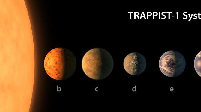 Alle sieben Planeten sind ungefähr so groß wie die Erde und wahrscheinlich Gesteinsplaneten. Foto: NASA/JPL-Caltech