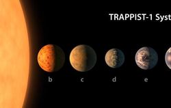 Alle sieben Planeten sind ungefähr so groß wie die Erde und wahrscheinlich Gesteinsplaneten. Foto: NASA/JPL-Caltech
