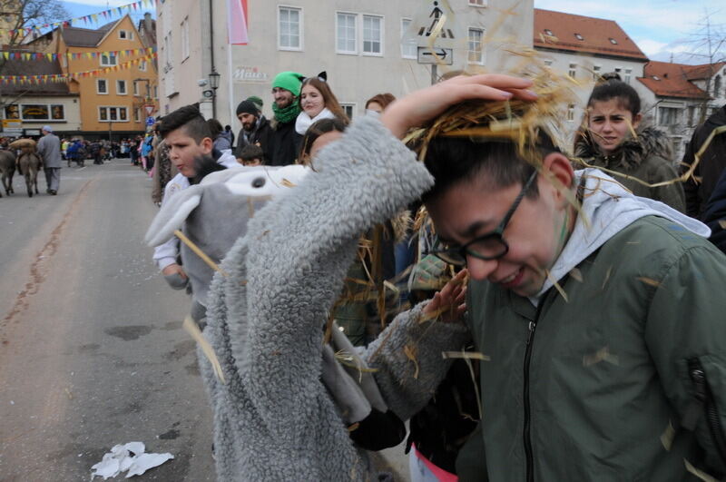 Großer Ommzug in Rottenburg 2017