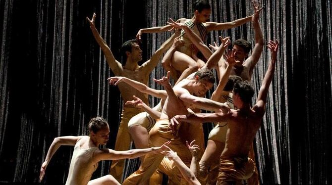 Tänzer der Gauthier Dance Company bei der Generalprobe des Stückes »Streams« des Choreographen Andonis Foniadakis. Foto: Bern