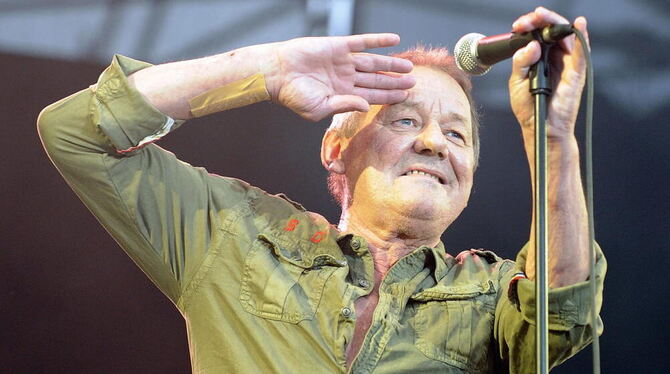 Musiker Wolfgang Ambros