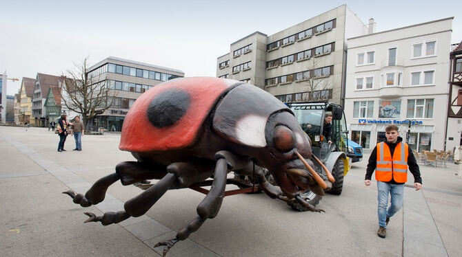 Science City Reutlingen XXL Krabbeltiere 2017