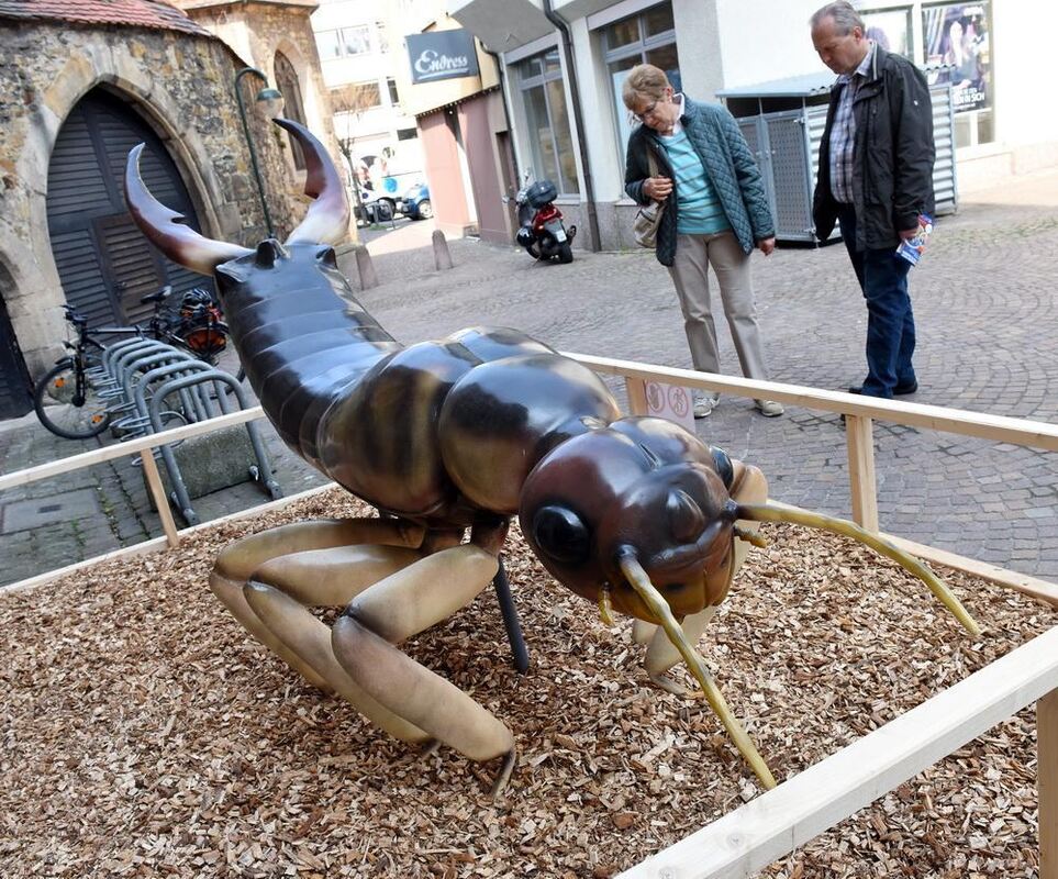 Start der »Science City« am verkaufsoffenen Sonntag Reutlingen