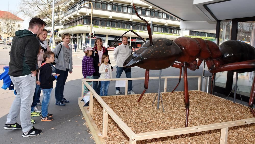 Start der »Science City« am verkaufsoffenen Sonntag Reutlingen