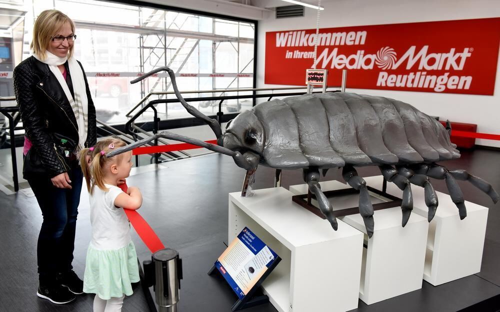 Start der »Science City« am verkaufsoffenen Sonntag Reutlingen