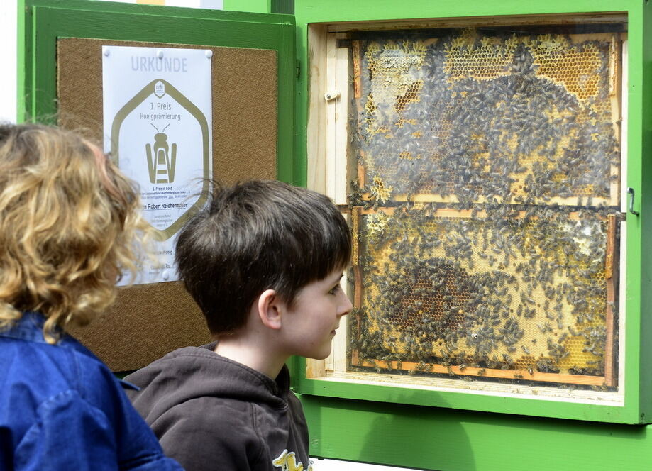 Start der »Science City« am verkaufsoffenen Sonntag Reutlingen