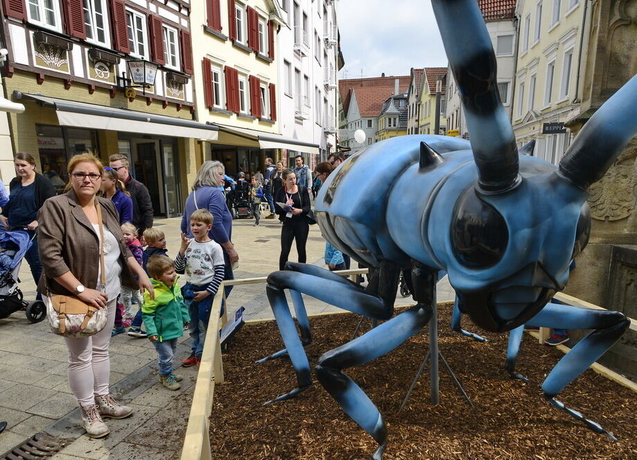 Start der »Science City« am verkaufsoffenen Sonntag Reutlingen