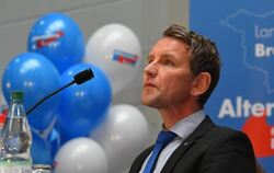 Björn Höcke, der Fraktionsvorsitzende der AfD im Thüringer Landtag, beim Landesparteitag der AFD in Frankfurt am Main. Foto: