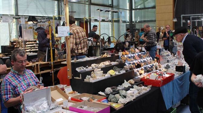 Bewunderer von Mineralien-Schönheiten kamen bei der  Börse in der Wittumhalle auf ihre Kosten. FOTO: SPIESS