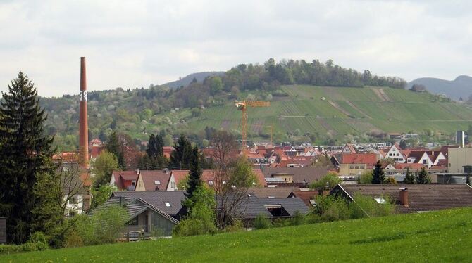 Von der Ohmstraße aus bietet sich derzeit noch ein weiter Blick über die Dächer Metzingens bis zum Weinberg: Die davor liegende