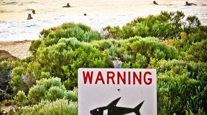 Hai-Warnschild in Australien. Immer wieder kommt es an den Küsten des Kontinents zu Angriffen von Haien auf Surfer. Foto: Reb