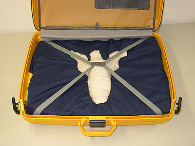 05_potengowski_stefan (jpg)