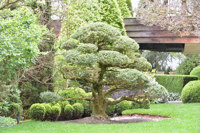 Führung durch das Gartenkunstwerk von Roland Doschka
